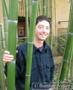 Portrait of Dain Sansome with vivax bamboo