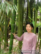 Portrait of Suya Sansome with vivax bamboo