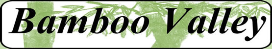 Bamboo Valley company logo
